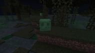 A slime in a swamp (Image via Mojang)
